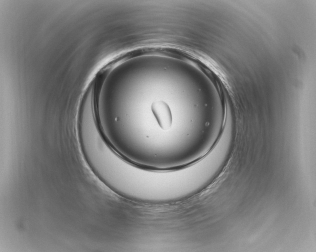 X0000116351334200912011402