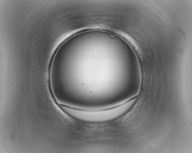 X0000116351335200912011402