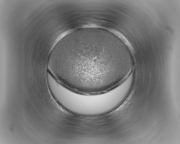 X0000116351337200912011402