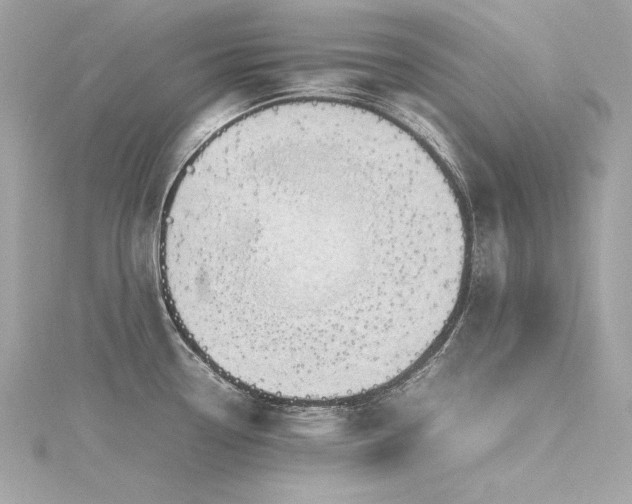 X0000116351338200912011403