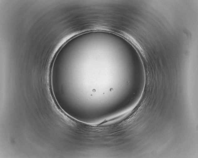 X0000116351339200912011403