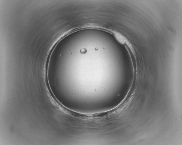 X0000116351341200912011403