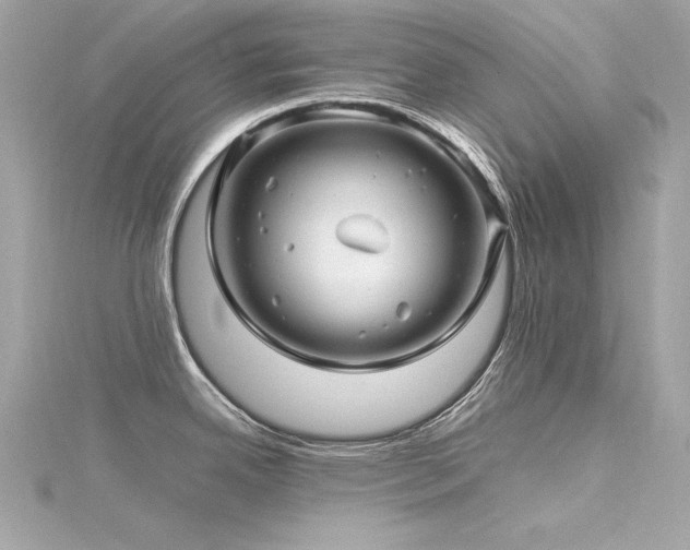 X0000116351342200912011403