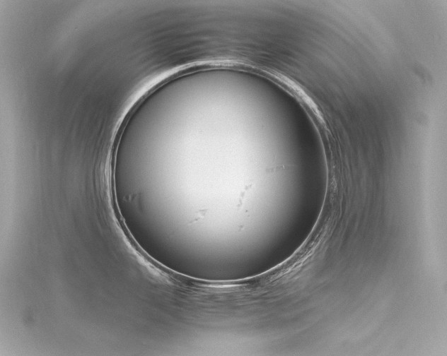 X0000116351343200912011403