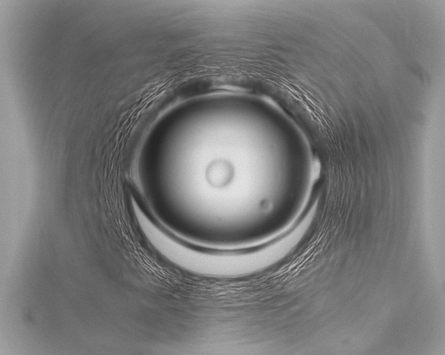 X0000116351345200912011402