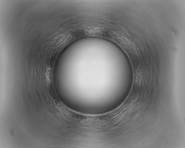 X0000116351346200912011402