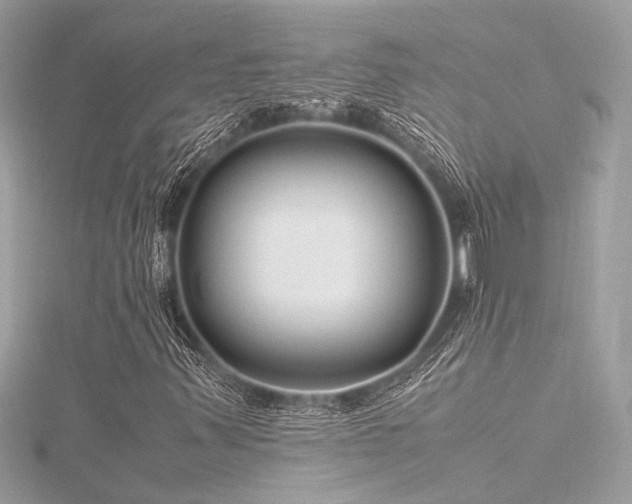 X0000116351347200912011402