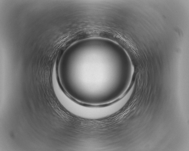 X0000116351348200912011402