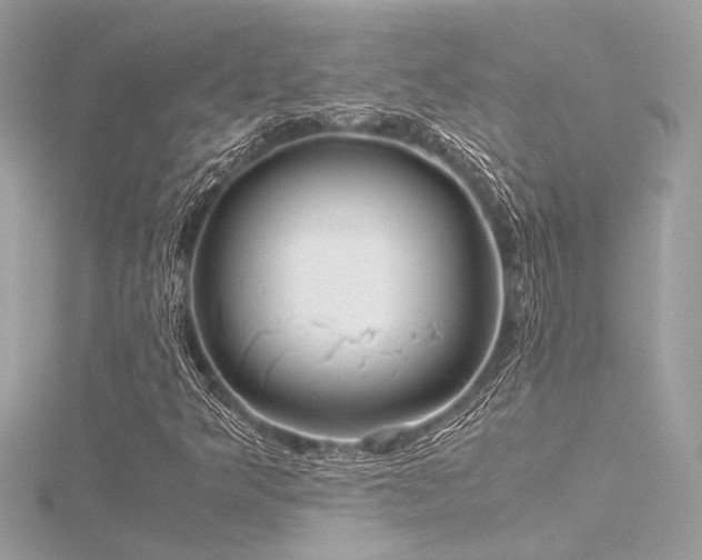 X0000116351349200912011402