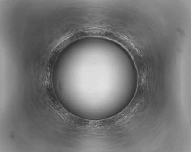 X0000116351350200912011402