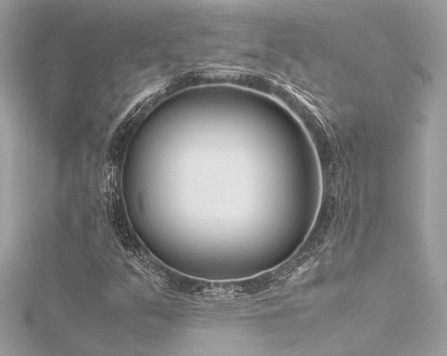 X0000116351351200912011402