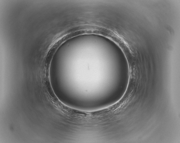 X0000116351352200912011402