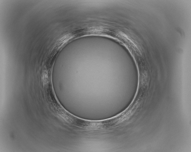 X0000116351353200912011402