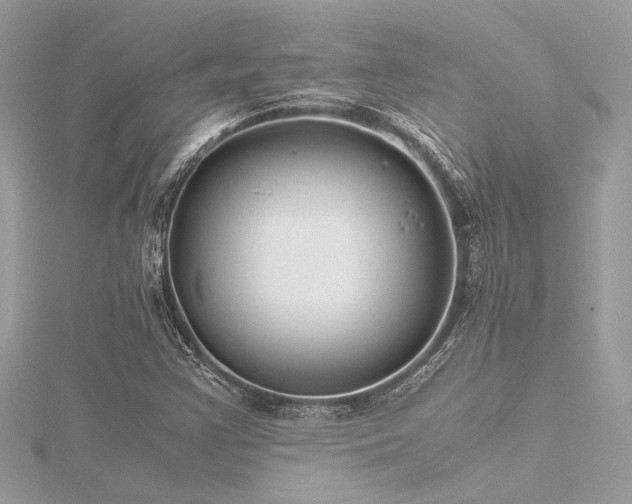 X0000116351355200912011402