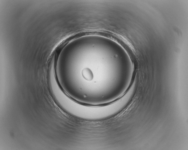 X0000116351356200912011402