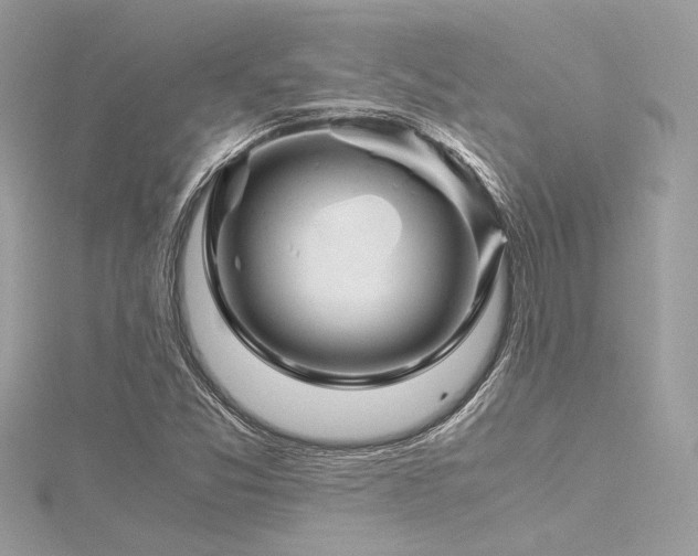 X0000116351357200912011402