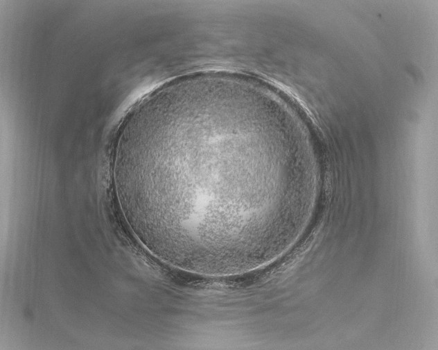 X0000116351359200912011402