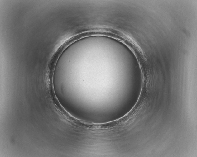 X0000116351360200912011402