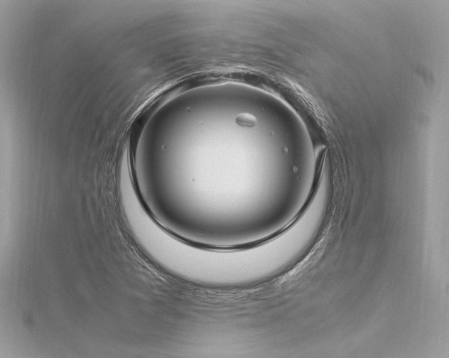 X0000116351361200912011402