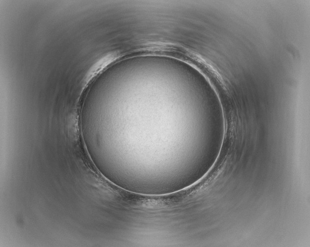 X0000116351362200912011402