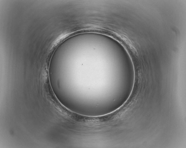 X0000116351363200912011402