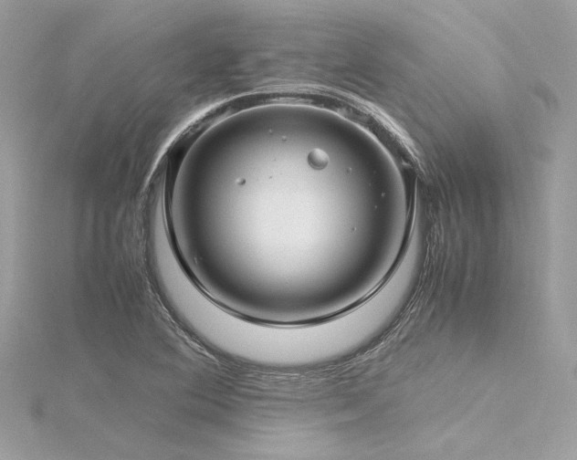 X0000116351364200912011402