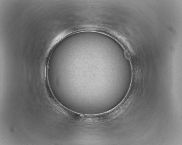 X0000116351365200912011402