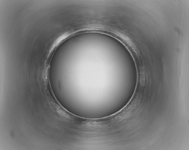 X0000116351366200912011402