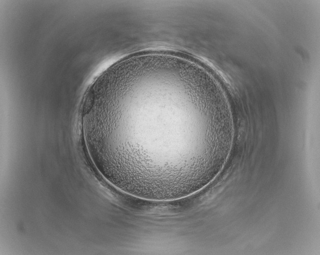 X0000116351367200912011402