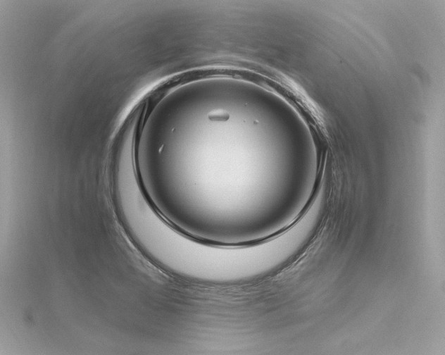 X0000116351368200912011402