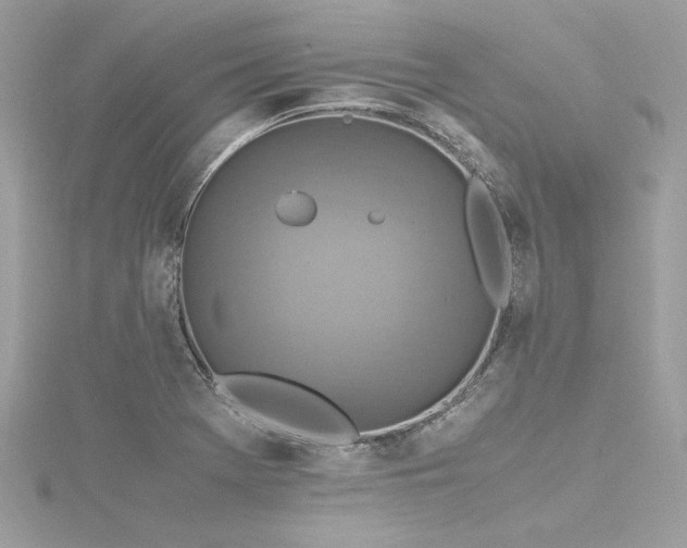 X0000116351369200912011402