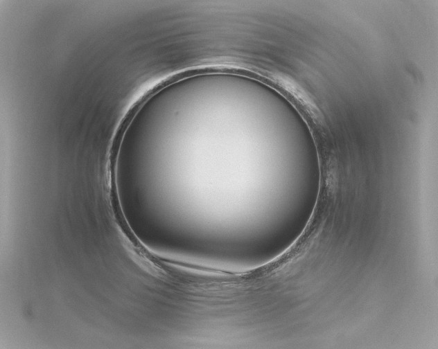 X0000116351372200912011402