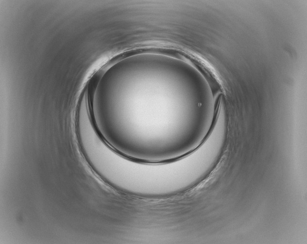 X0000116351373200912011402