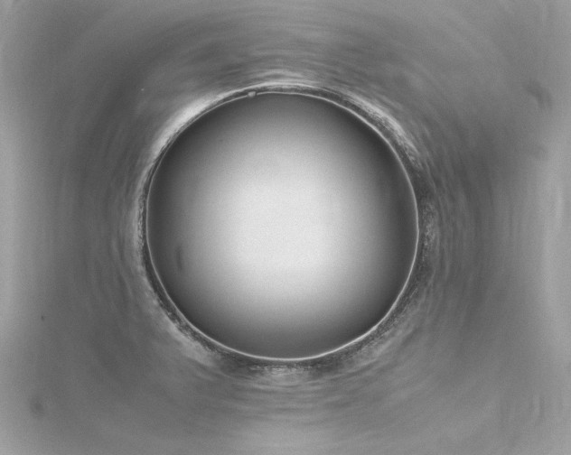 X0000116351375200912011401