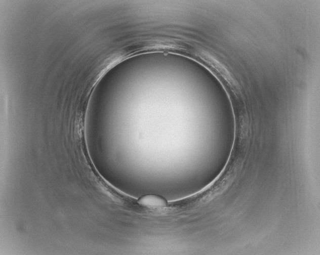 X0000116351377200912011401