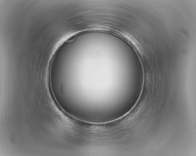 X0000116351379200912011401
