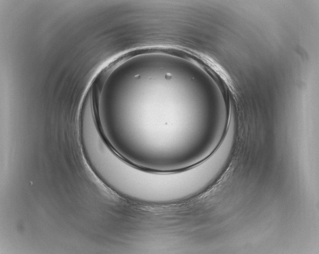 X0000116351380200912011401