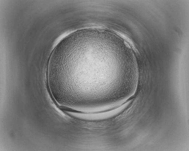 X0000116351383200912011401