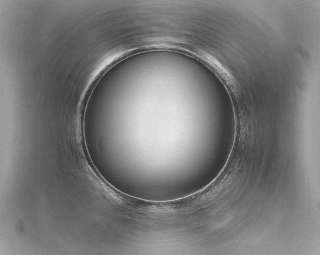 X0000116351384200912011401