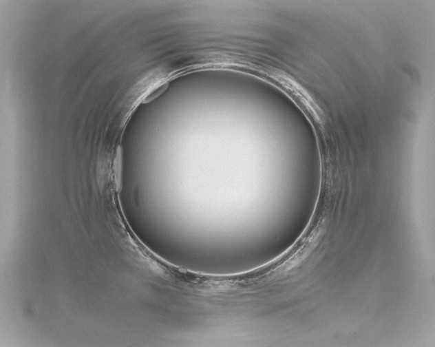 X0000116351385200912011401