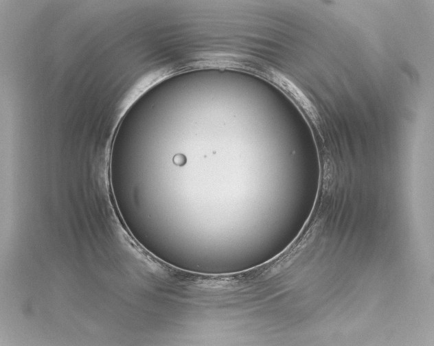 X0000116351386200912011401