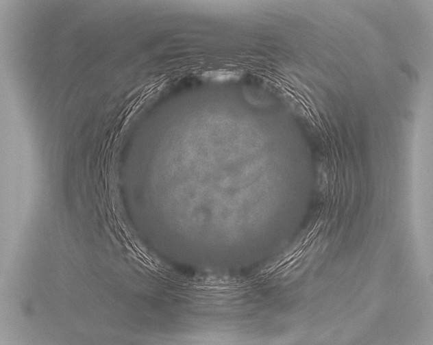 X0000116351393200912011401