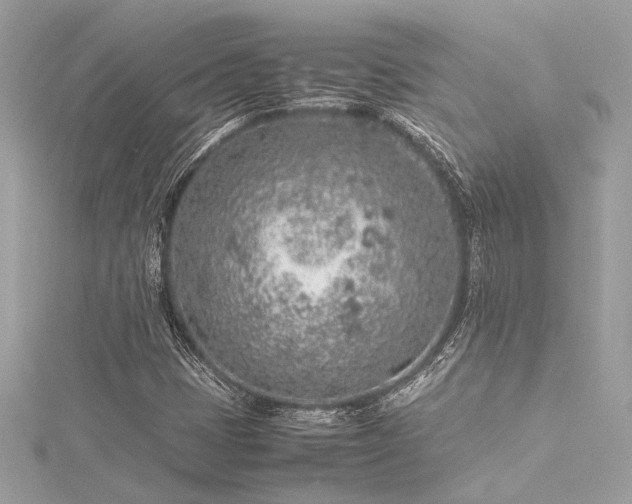 X0000116351401200912011401