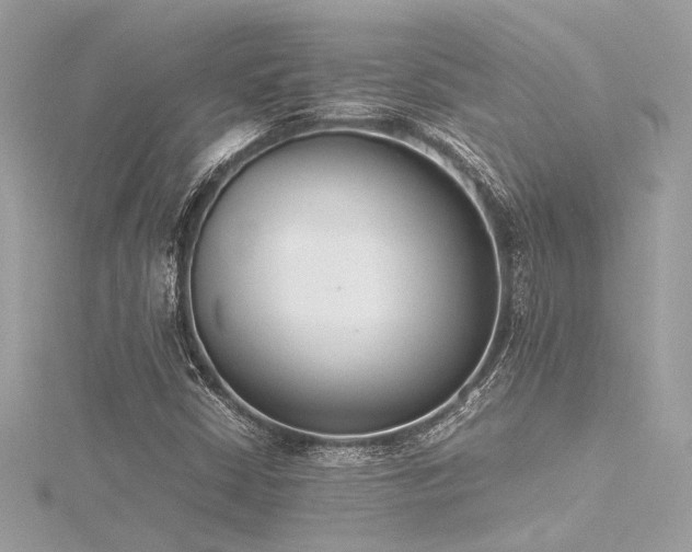 X0000116351402200912011401