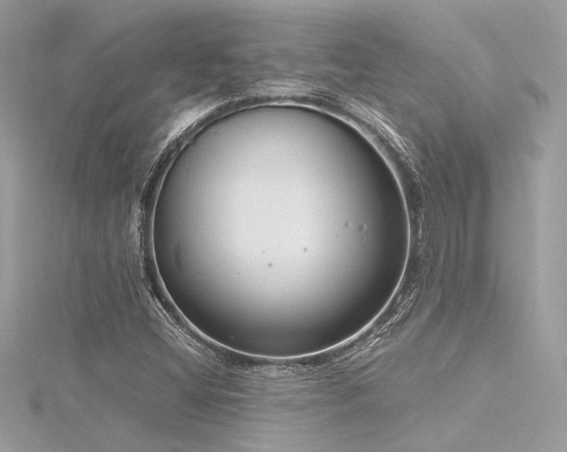 X0000116351404200912011401