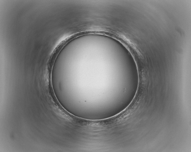 X0000116351408200912011401