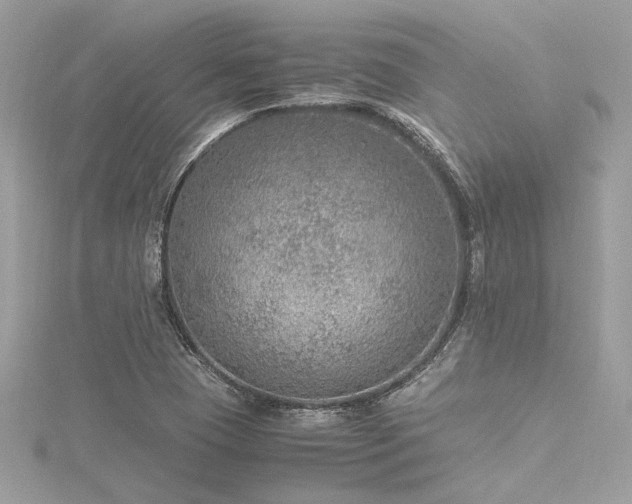 X0000116351409200912011401