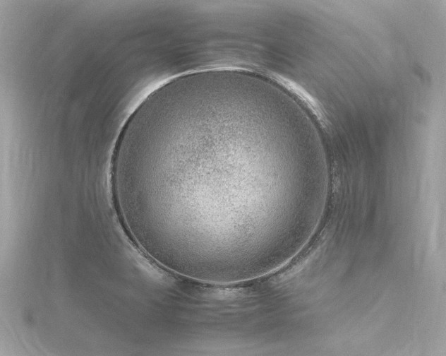 X0000116351423200912011401