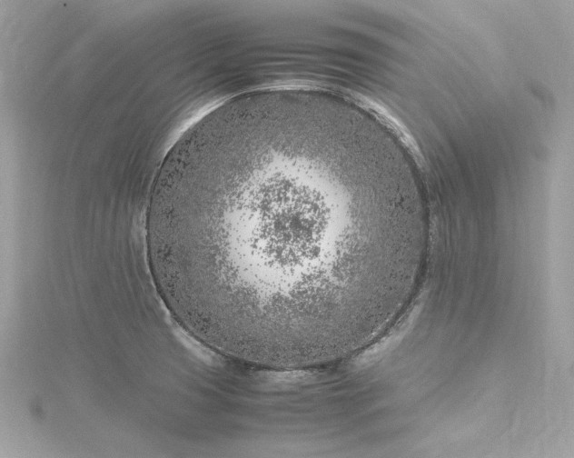 X0000116351425200912011401