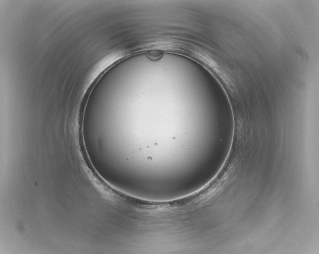 X0000116351426200912011401